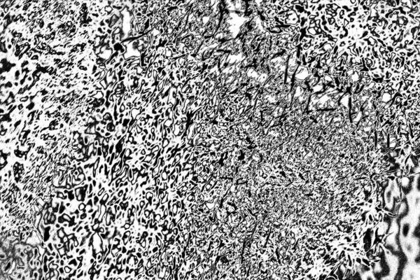 Image Incluant Effet Des Tons Noir Blanc Contexte Abstrait Texture — Photo