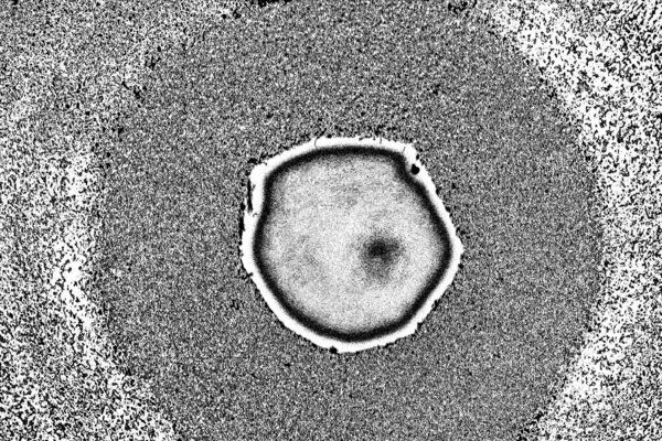 абстрактный бетонный серый гранж фон, пространство для копирования 