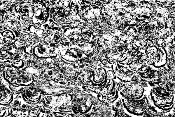 soyut gri grunge arkaplanı, alan arkaplanını kopyala