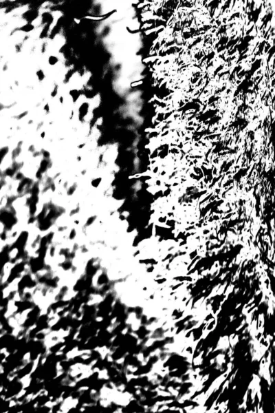 Fondo Grunge Abstracto Textura Monocromática Fondo Texturizado Blanco Negro — Foto de Stock