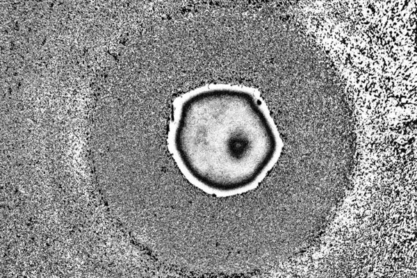 абстрактный бетонный серый гранж фон, пространство для копирования 