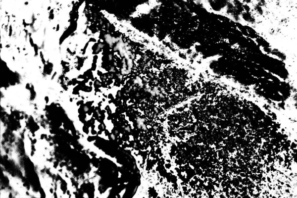 Abstract Background Monochrome Texture Image Including Effect Black White Tones — Stock Photo, Image