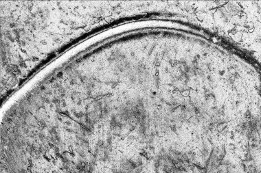 Monokrom dokusu. Görüntü siyah ve beyaz tonları da içeriyor. Soyut arkaplan. 