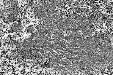 soyut gri grunge yüzeyi, uzay duvar kağıdını kopyala