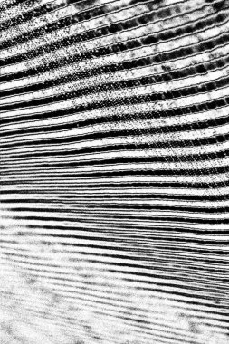 Gri grunge yüzeyi, boşluk duvar kağıdını kopyala 