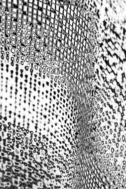 Gri grunge yüzeyi, boşluk duvar kağıdını kopyala 