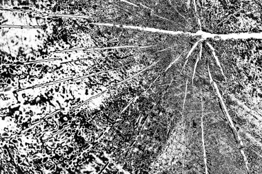 monokrom desenli soyut arkaplan. 