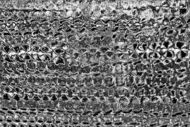 gri beton arkaplan, boşluğu kopyala