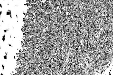 Görüntü siyah ve beyaz tonları da içeriyor. Soyut arkaplan. Monokrom dokusu. 