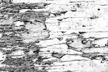 soyut gri grunge arkaplanı, alan arkaplanını kopyala