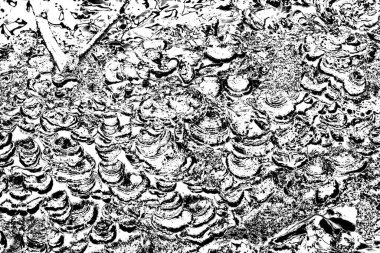 soyut gri grunge arkaplanı, alan arkaplanını kopyala