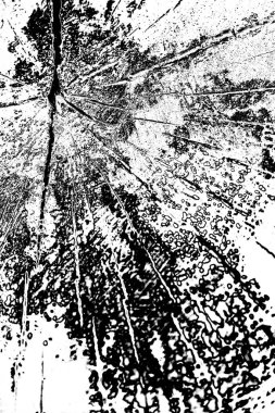 siyah ve beyaz yüzey, boşluğu soyut arkaplan kopyala