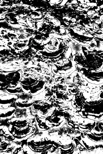 Fondo Grunge Abstracto Textura Monocromática Fondo Texturizado Blanco Negro — Foto de Stock