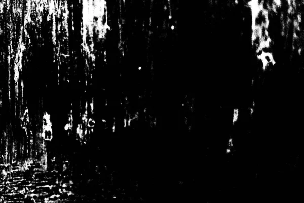 Fondo Grunge Abstracto Textura Monocromática Fondo Texturizado Blanco Negro — Foto de Stock