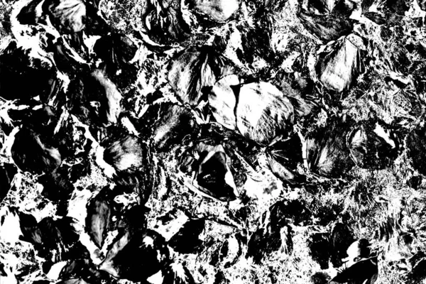 Sfondo Astratto Texture Monocromatica Immagine Compreso Effetto Toni Bianco Nero — Foto Stock