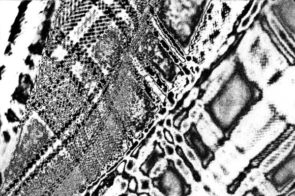 Imagen Incluyendo Efecto Los Tonos Blanco Negro Fondo Abstracto Textura —  Fotos de Stock