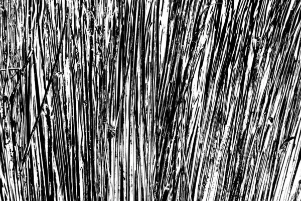 Soyut grunge arkaplanı. Monokrom dokusu. Siyah ve beyaz desenli arkaplan