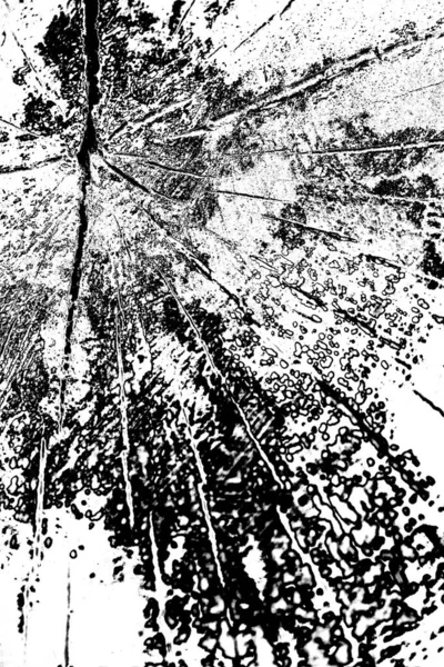 siyah ve beyaz yüzey, boşluğu soyut arkaplan kopyala