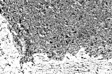 Monokrom dokusu. Görüntü siyah ve beyaz tonları da içeriyor. Soyut arkaplan. 