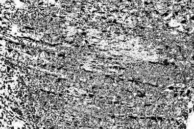 gri beton arkaplan, boşluğu kopyala