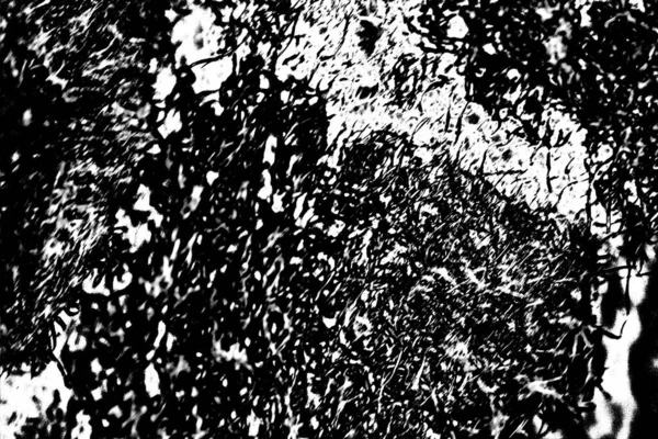 Гранжевий Фон Чорно Біла Поверхня Простір Копіювання — стокове фото