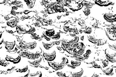 Soyut grunge arkaplanı. Monokrom dokusu. Siyah ve beyaz desenli arkaplan