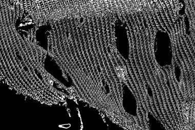 Soyut grunge arkaplanı. Monokrom dokusu. Siyah ve beyaz desenli arkaplan
