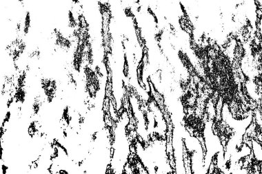 Soyut grunge arkaplanı. Monokrom dokusu. Siyah beyaz arkaplan