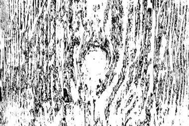 Soyut grunge arkaplanı. Monokrom dokusu. Siyah ve beyaz desenli arkaplan