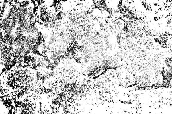 Fondo Grunge Abstracto Textura Monocromática Fondo Texturizado Blanco Negro —  Fotos de Stock