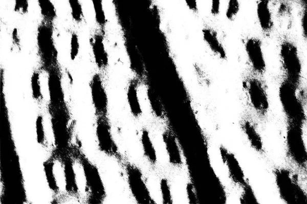 Monochrome Textur Mit Schwarzem Und Weißem Hintergrund — Stockfoto