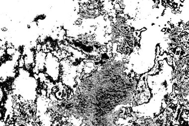 Soyut grunge arkaplanı. Monokrom dokusu. Siyah beyaz arkaplan