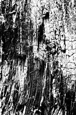 Siyah ve beyaz arkaplanlı tek renkli doku.