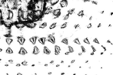 Soyut grunge arkaplanı. Monokrom dokusu. Siyah ve beyaz desenli arkaplan