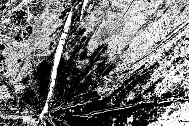 Siyah ve beyaz arkaplanlı tek renkli doku.