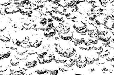 Soyut arkaplan. monokrom dokusu. resim siyah ve beyaz tonları içerir.