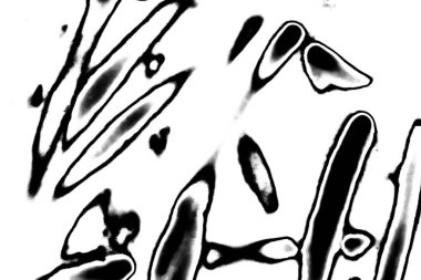 Soyut grunge arkaplanı. Monokrom dokusu. Siyah ve beyaz desenli arkaplan