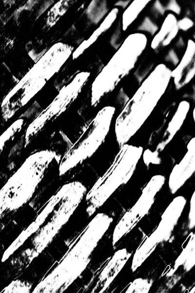 Monochrome Texture Black White Background — Stock Photo, Image