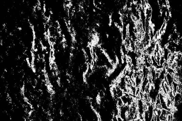 Fond Abstrait Texture Monochrome Image Incluant Effet Les Tons Noir — Photo