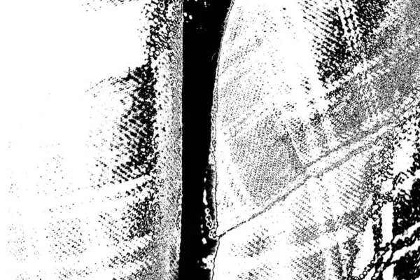모노크롬 배경은 흑백이다 노골적 빈틈없는 — 스톡 사진