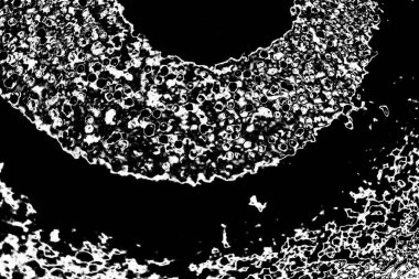 Soyut grunge arkaplanı. Monokrom dokusu. Siyah beyaz arkaplan