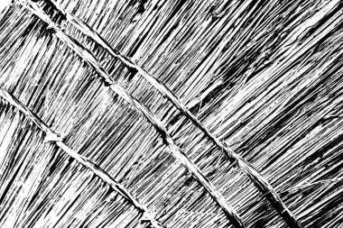 Siyah ve beyaz arkaplanlı tek renkli doku.