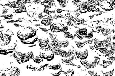 Soyut grunge arkaplanı. Monokrom dokusu. Siyah ve beyaz desenli arkaplan