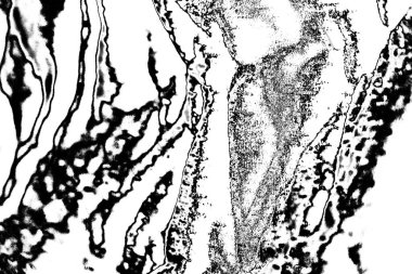 Soyut grunge arkaplanı. Monokrom dokusu. Siyah ve beyaz desenli arkaplan