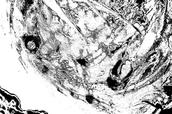 Soyut grunge arkaplanı. Monokrom dokusu. Siyah ve beyaz desenli arkaplan