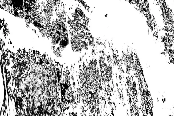 Soyut grunge arkaplanı. Monokrom dokusu. Siyah ve beyaz desenli arkaplan