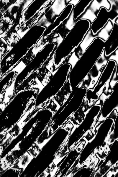 Fondo Grunge Abstracto Textura Monocromática Fondo Blanco Negro — Foto de Stock