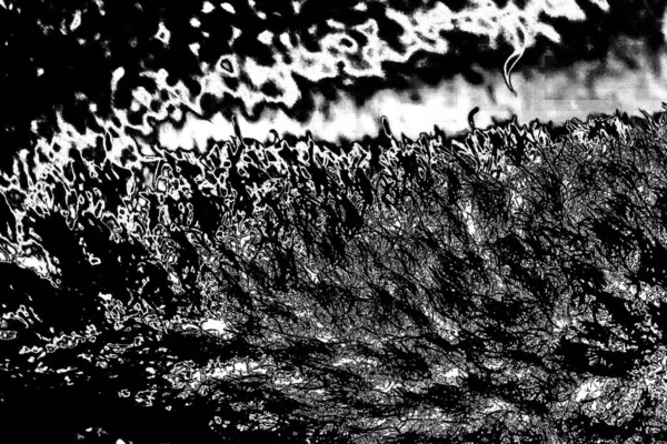 Fondo Grunge Abstracto Textura Monocromática Fondo Blanco Negro — Foto de Stock