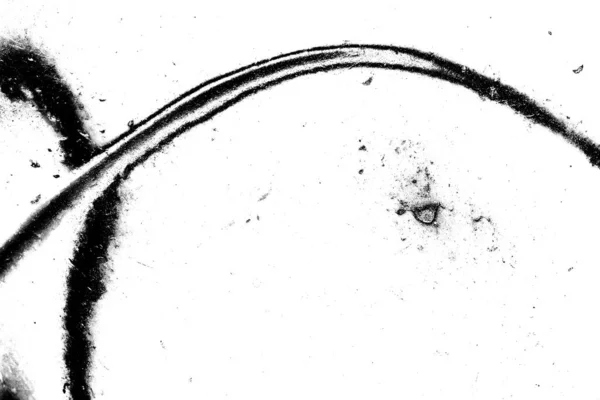 Абстрактный Гранж Фон Монохромная Текстура Черно Белый Фон — стоковое фото