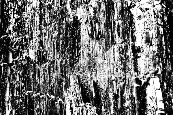 Textura Monocromática Con Fondo Blanco Negro — Foto de Stock